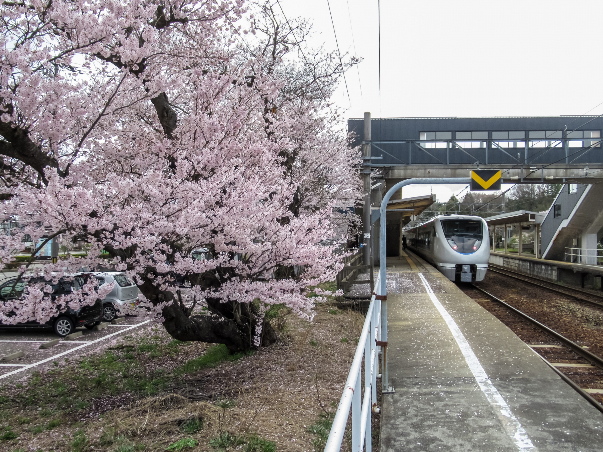 和倉温泉駅と683系
